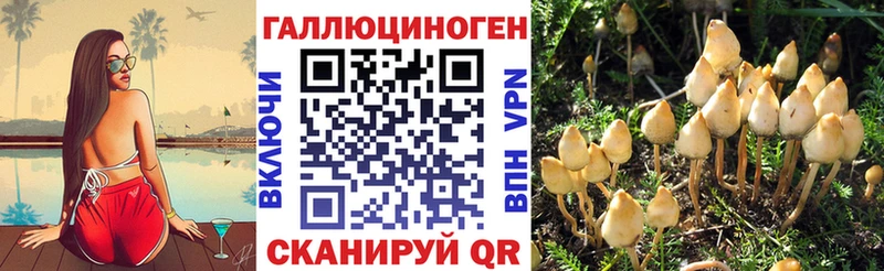 Купить  Велиж  Псилоцибиновые грибы GOLDEN TEACHER 